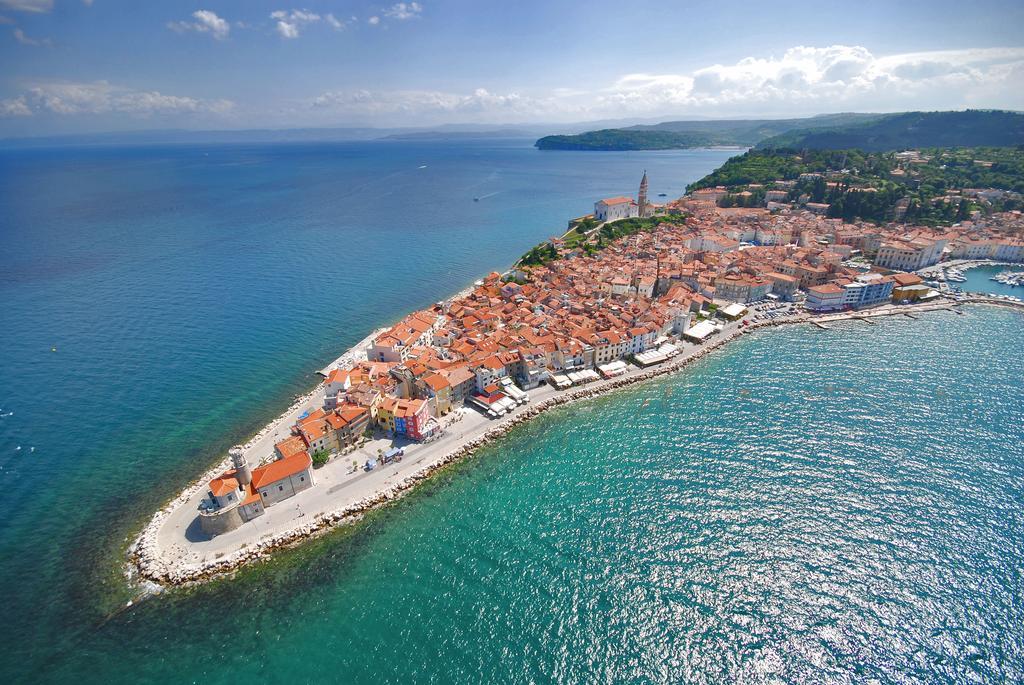 Apartment Buena Vista Piran Room photo